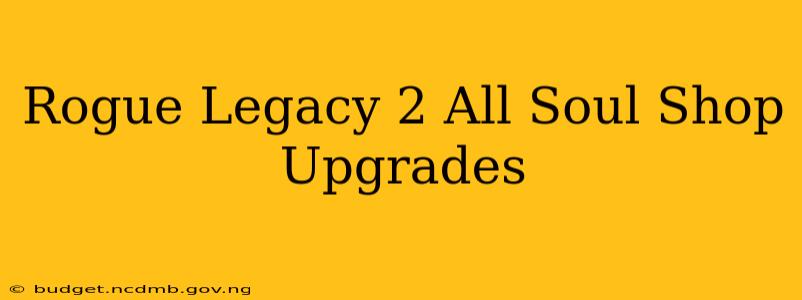 Rogue Legacy 2 All Soul Shop Upgrades