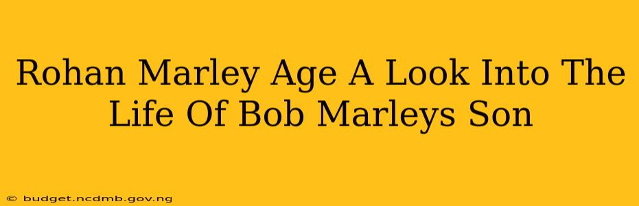 Rohan Marley Age A Look Into The Life Of Bob Marleys Son
