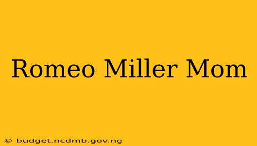 Romeo Miller Mom