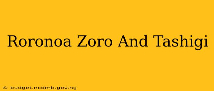 Roronoa Zoro And Tashigi