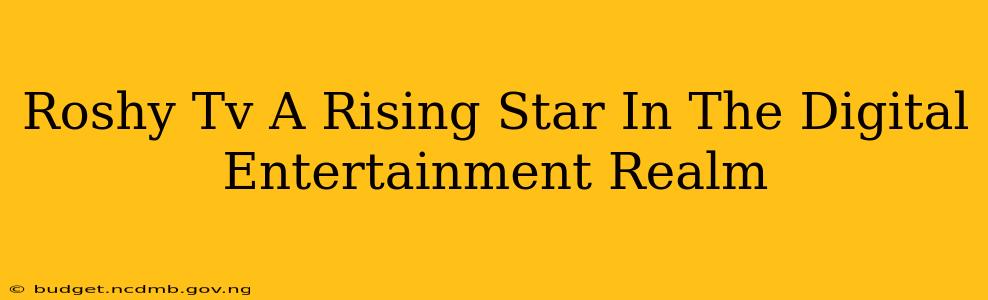 Roshy Tv A Rising Star In The Digital Entertainment Realm