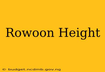 Rowoon Height