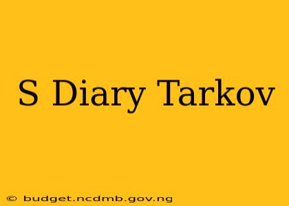 S Diary Tarkov