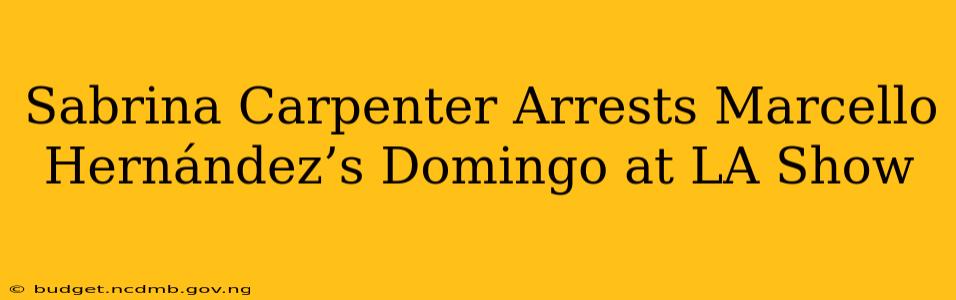 Sabrina Carpenter Arrests Marcello Hernández’s Domingo at LA Show