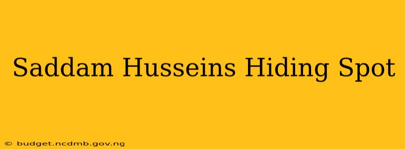 Saddam Husseins Hiding Spot
