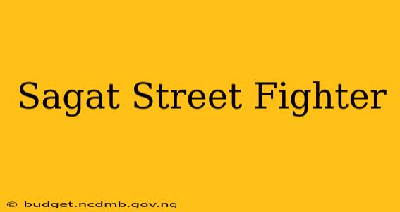 Sagat Street Fighter