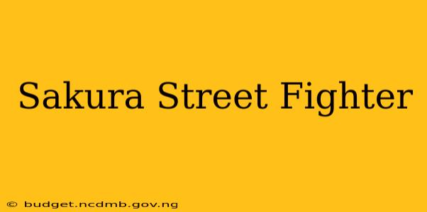 Sakura Street Fighter