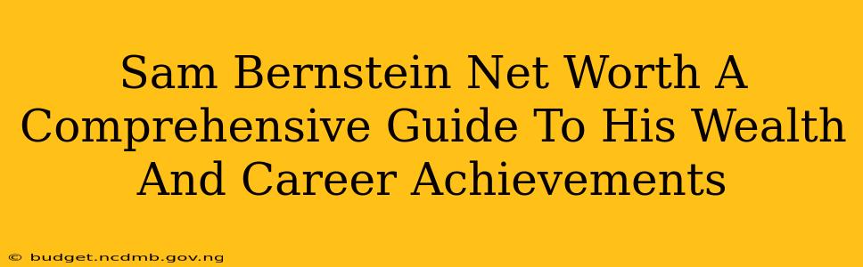 Sam Bernstein Net Worth A Comprehensive Guide To His Wealth And Career Achievements