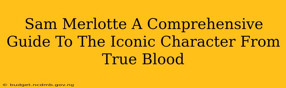 Sam Merlotte A Comprehensive Guide To The Iconic Character From True Blood