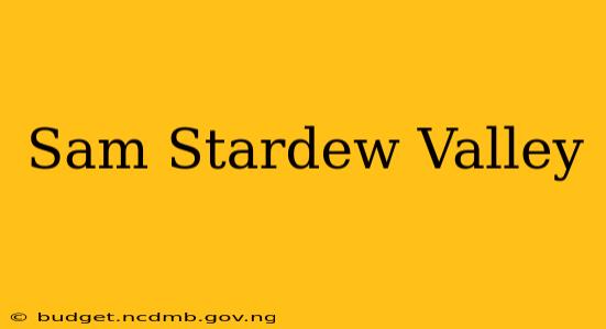 Sam Stardew Valley