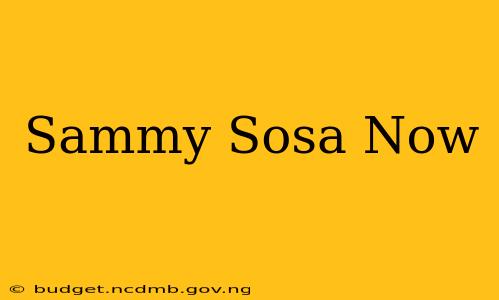 Sammy Sosa Now