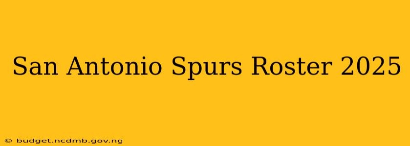 San Antonio Spurs Roster 2025