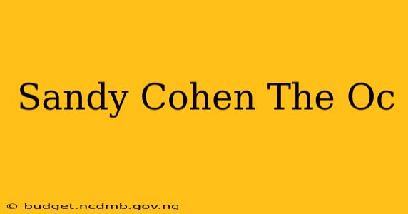 Sandy Cohen The Oc