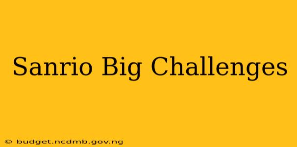 Sanrio Big Challenges