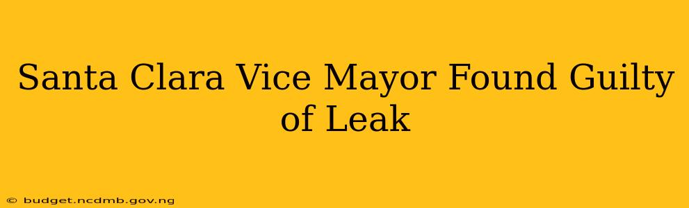 Santa Clara Vice Mayor Found Guilty of Leak
