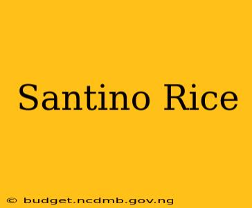 Santino Rice
