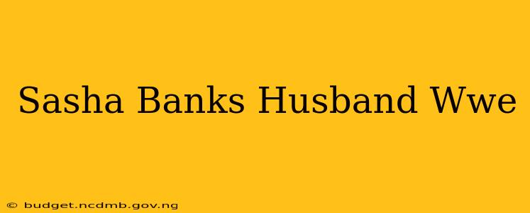Sasha Banks Husband Wwe