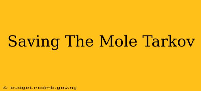 Saving The Mole Tarkov