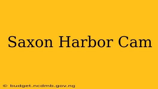 Saxon Harbor Cam
