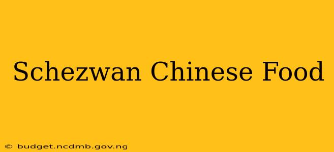 Schezwan Chinese Food
