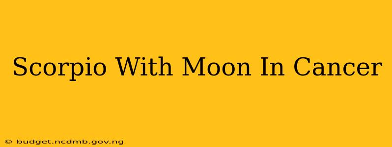 Scorpio With Moon In Cancer