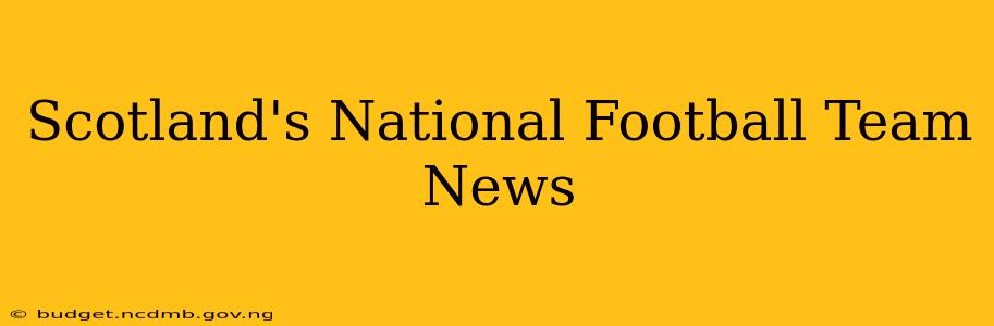 Scotland's National Football Team News