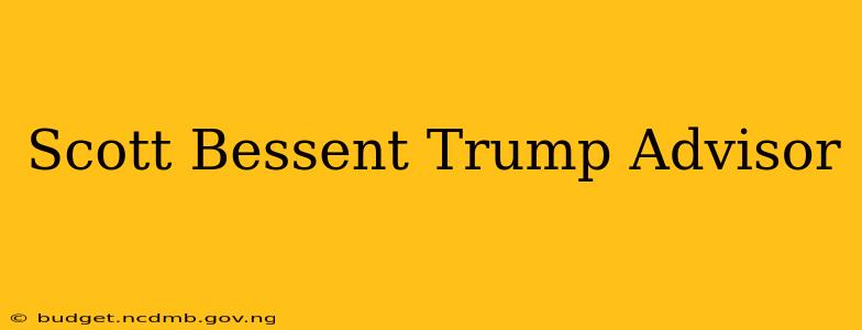 Scott Bessent Trump Advisor