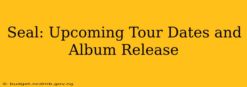 Seal: Upcoming Tour Dates and Album Release