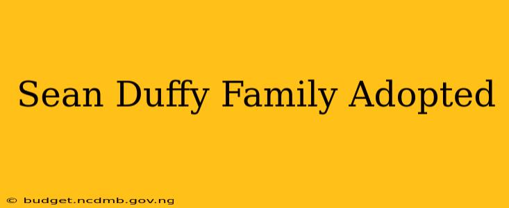 Sean Duffy Family Adopted