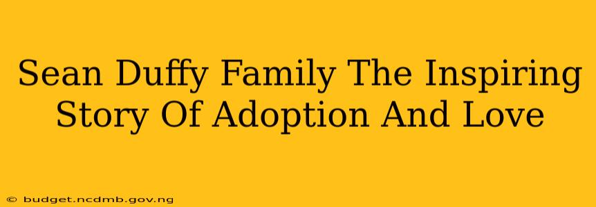 Sean Duffy Family The Inspiring Story Of Adoption And Love