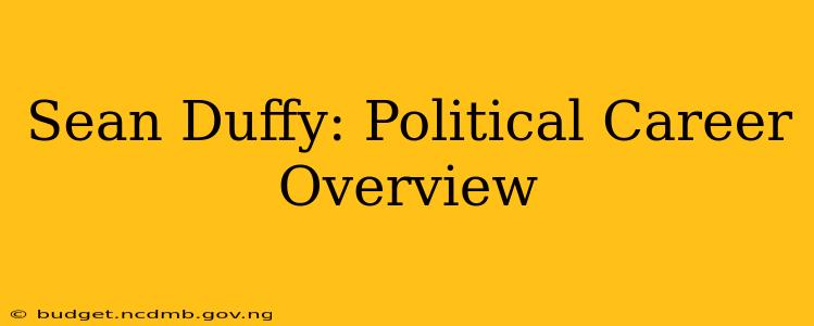 Sean Duffy: Political Career Overview