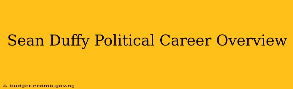 Sean Duffy Political Career Overview