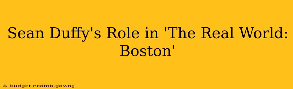 Sean Duffy's Role in 'The Real World: Boston'