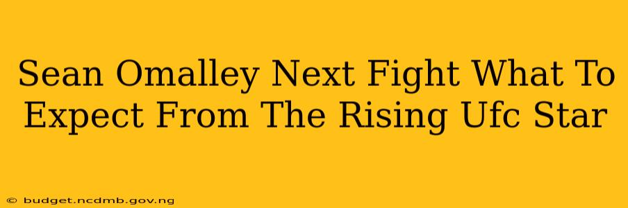 Sean Omalley Next Fight What To Expect From The Rising Ufc Star