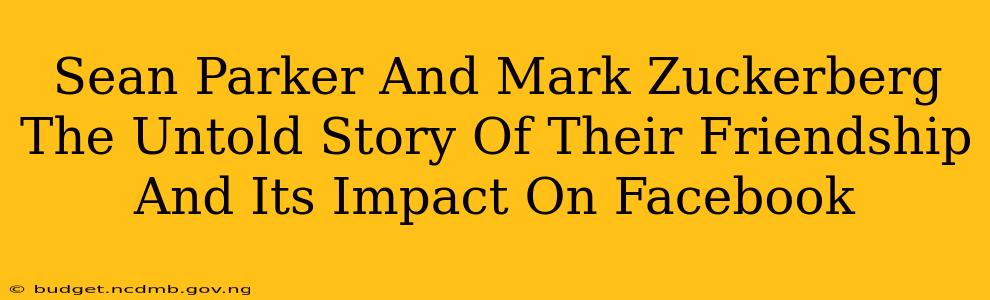 Sean Parker And Mark Zuckerberg The Untold Story Of Their Friendship And Its Impact On Facebook