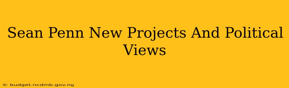 Sean Penn New Projects And Political Views