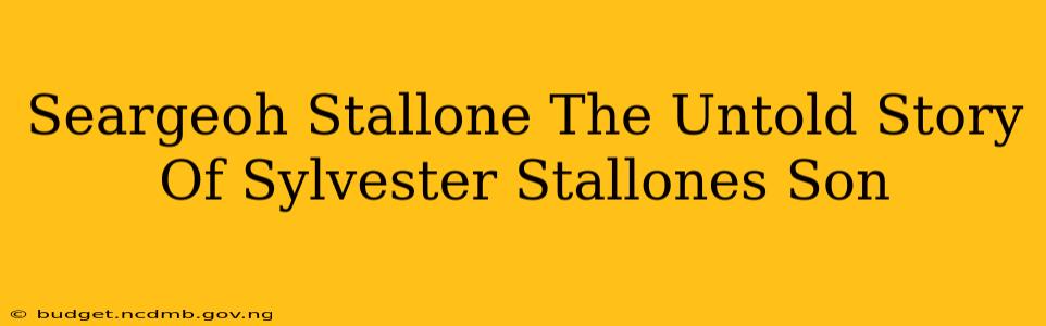 Seargeoh Stallone The Untold Story Of Sylvester Stallones Son