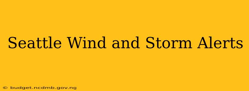 Seattle Wind and Storm Alerts