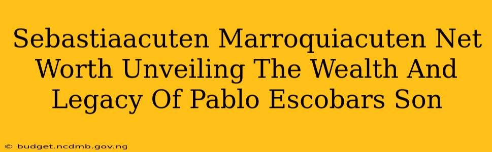 Sebastiaacuten Marroquiacuten Net Worth Unveiling The Wealth And Legacy Of Pablo Escobars Son