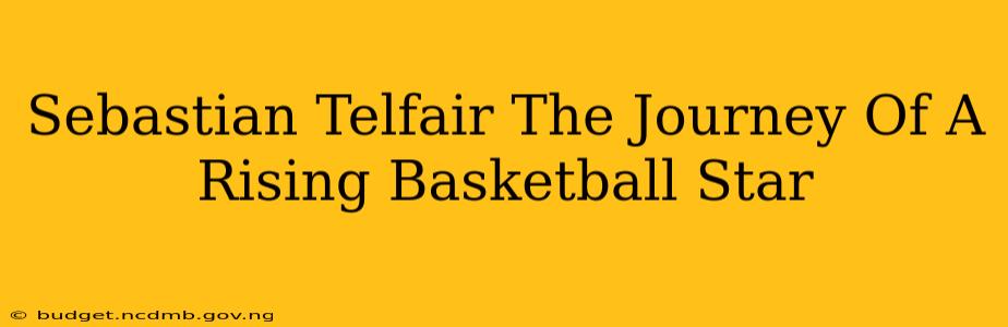 Sebastian Telfair The Journey Of A Rising Basketball Star