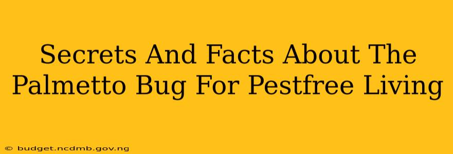 Secrets And Facts About The Palmetto Bug For Pestfree Living