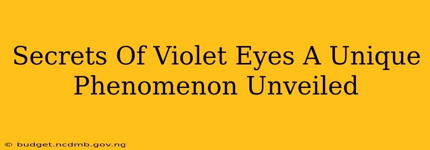 Secrets Of Violet Eyes A Unique Phenomenon Unveiled