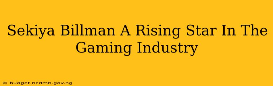Sekiya Billman A Rising Star In The Gaming Industry