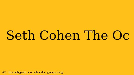 Seth Cohen The Oc