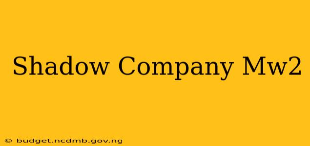 Shadow Company Mw2