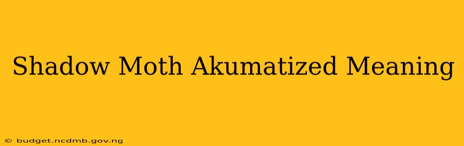 Shadow Moth Akumatized Meaning