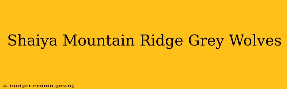 Shaiya Mountain Ridge Grey Wolves
