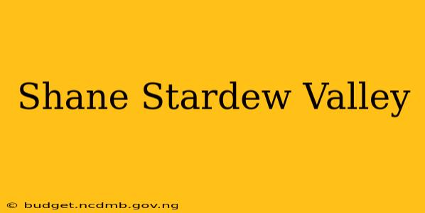 Shane Stardew Valley