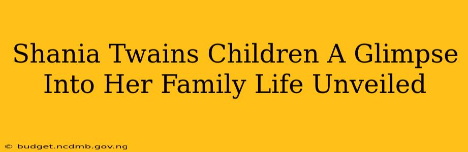 Shania Twains Children A Glimpse Into Her Family Life Unveiled