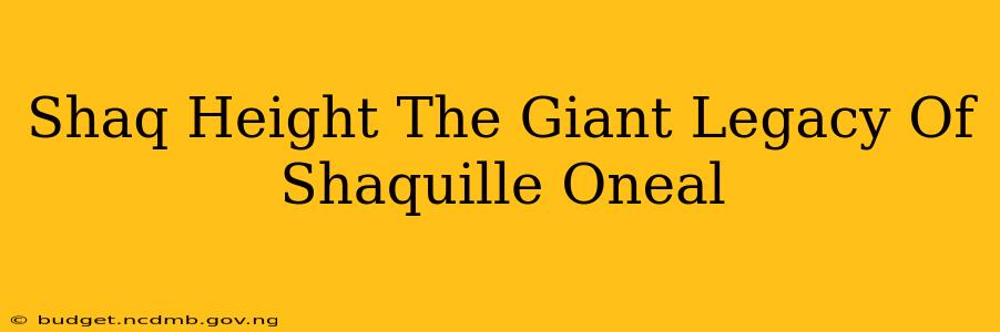 Shaq Height The Giant Legacy Of Shaquille Oneal